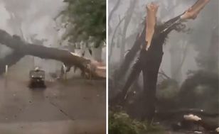 Sao Paulo po cyklonie: 1,3 mln osób bez prądu. Setki lotów odwołanych