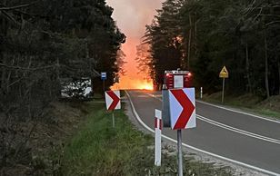 Tragedia podczas gaszenia pożaru. Spadł samolot, pilot nie żyje