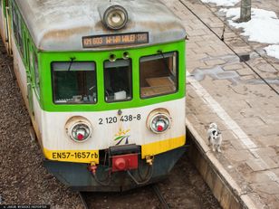 Chciał pomóc osobie na wózku. 17-latek wpadł pod pociąg