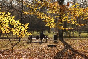 Po mrozach przyjdzie ocieplenie. choćby 15 stopni na początku grudnia