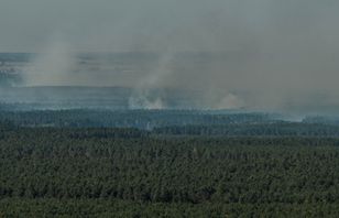 Pożar w Puszczy Solskiej. Płoną chronione torfowiska i bory bagienne