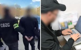 Masowe zatrzymania ws. pedofili. Kierwiński podał dane