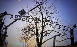 Colombian man fined for promoting Nazism at Auschwitz-Birkenau