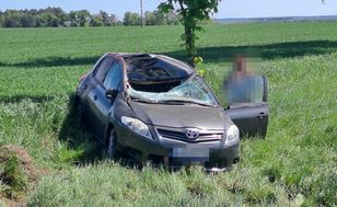 Jeleń wskoczył na auto. Kierowca nie miał szans