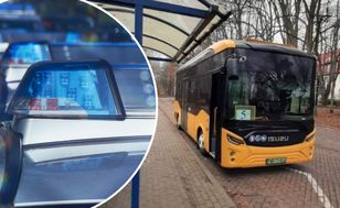 Wsiadła do autobusu z chihuahua. Skończyła w izbie zatrzymań