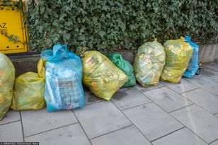 Ważny wyrok w sprawie śmieci. Tego nie mogą gminy