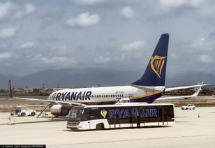 Potężna awantura na lotnisku w Palma de Mallorca. Doszło do rękoczynów