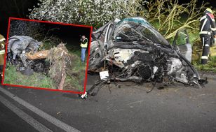 Po uderzeniu drzewo wyrwane z korzeniami. Tragedia w Pomorskim