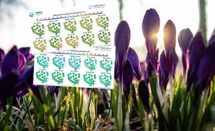 Wiosna wraca do Polski. Ale tylko na chwilę