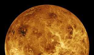 Concentric "rings" around Venus spotted in 2010 archival data