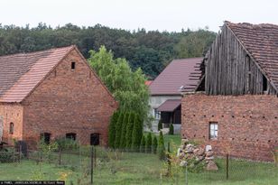 "To było długotrwałe katowanie". Zapadł wyrok w głośnej sprawie