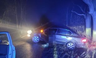 Babcia jest najważniejsza. Miłość w akcji.