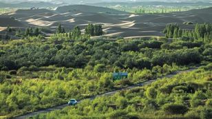 50 lat sadzenia drzew zmieniło klimat kraju. I to dosłownie