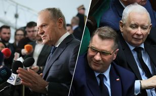 Tak reagują na partie w sieci. Jest nowy raport aktywności