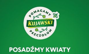 Marka Kujawski z kolejną akcją pomocy pszczołom