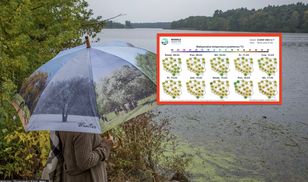 Chmury nad Polską. Znamy prognozę pogody na 10 dni