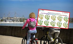 Wraca zimno i przymrozki. Pogoda na pierwszą połowę maja