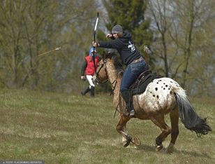 Średniowieczne monety znalezione pod Grunwaldem. Wypadły komuś z sakiewki?