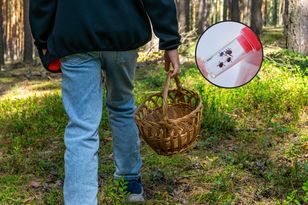 Mroźna zima nie pomogła. Te zwierzęta i tak będą atakować ludzi