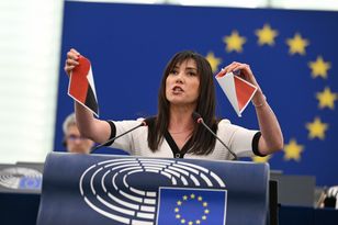 Tore the UPA flag in the European Parliament. "We should not agree"