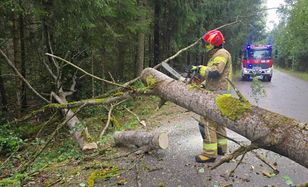 18 tys. odbiorców bez prądu w Podlaskiem po sobotniej wichurze