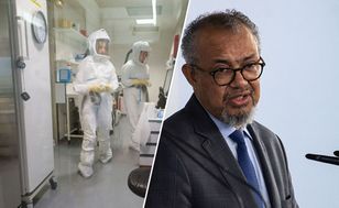 Pierwsze zakażenie wirusem SHAV. Głos zabrał szef WHO