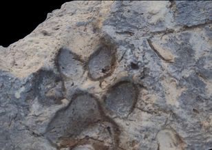 Archeolodzy przecierali oczy. W ruinach sprzed 4 tys. lat znaleźli coś niespodziewanego
