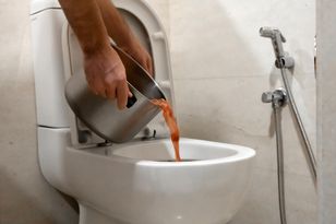 Never flush these items — what clogs pipes and attracts rats to your drains