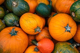 Zapytałam 4 szefów kuchni, która dynia jest najlepsza na jesień. Powtarzali jedną odmianę