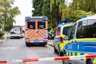 Dramat za Odrą. Drzewo zabiło trzy osoby, w tym niemowlę