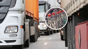 Transport z Japonii zatrzymany. To miało trafić do sprzedaży w Polsce