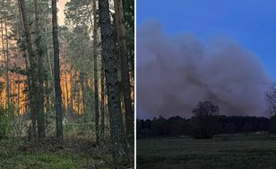 Katastrofa podczas gaszenia pożaru lasu. Nowe informacje od służb