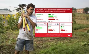 Transformacja energetyczna obniży koszty życia? Polska głęboko sceptyczna