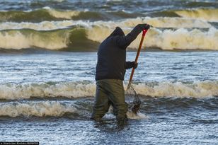 Bałtycki bursztyn. Oto ceny w 2026 r.