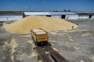 Ukrainian grain back through Poland? Warsaw sets condition: Polish farmers first