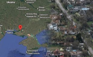 Jedzą chwasty i trawę, by przetrwać. Oleszki to "drugi Mariupol"