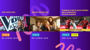 Tak TVP wycenia reklamy. Ponad ćwierć mln zł za spot przy meczu Polaków