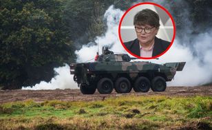 "Wycisnąć jak cytrynę program SAFE". Ekspert o strategii Polski