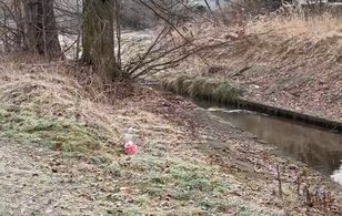 Pokazali nagranie z miejsca zbrodni w Jeleniej Górze. "To bezpieczna okolica, jesteśmy w szoku"