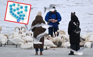 Powrót mrozów. Synoptycy nie mają dobrych wiadomości
