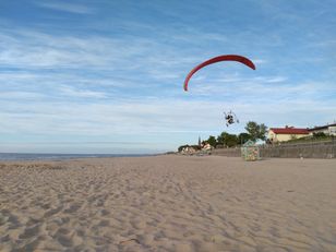 WWF Polska apeluje: sieweczka obrożna gnieździ się na plażach – uważaj!