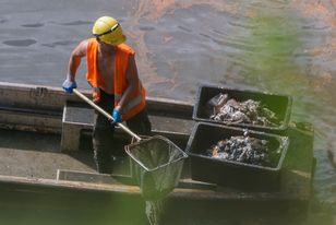 Pusto jak po sezonie? Oskarżają o to nową inwestycję