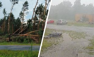 Potężne burze przeszły przez część kraju. Połamane drzewa i ewakuacje