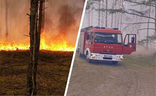 Pożar lasu w Wielkopolsce. Samolot i setka strażaków w akcji