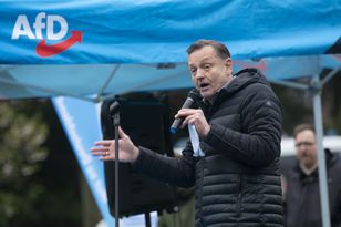 Nepotyzm w AfD. Wiceszef partii przyznaje: "Przypadków jest więcej"