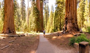79-latek zmarł na szlaku w Sequoia National Park — miesiąc po śmierci nastolatki w tym miejscu