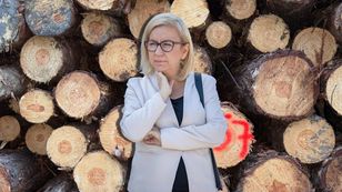 Eksport polskiego drewna do Chin spadł o 51% w 2025 roku