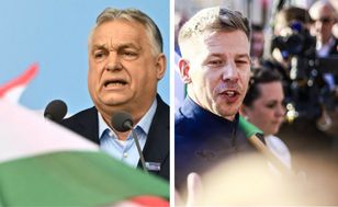 TISZA na prowadzeniu. Kolejny taki sondaż na Węgrzech