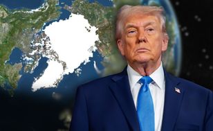 Trump ma "apetyt" na Grenlandię. Ekspert mówi, czy można ją kupić