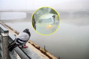 Niecodzienny wypadek we Wrocławiu. Auto zanurkowało w fosie